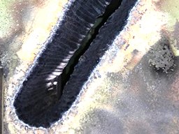 galerie_22_ausbrennen